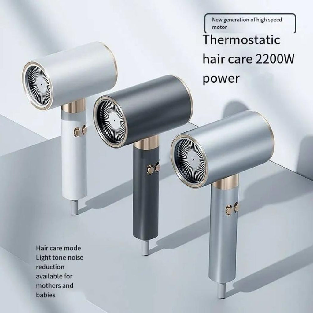 ZYLER Professional Hair Dryer, Quiet Ionizer with Heat Protection to Sculpt and Add Shine, Durable ABS Shell with Long Cable, Smoothing