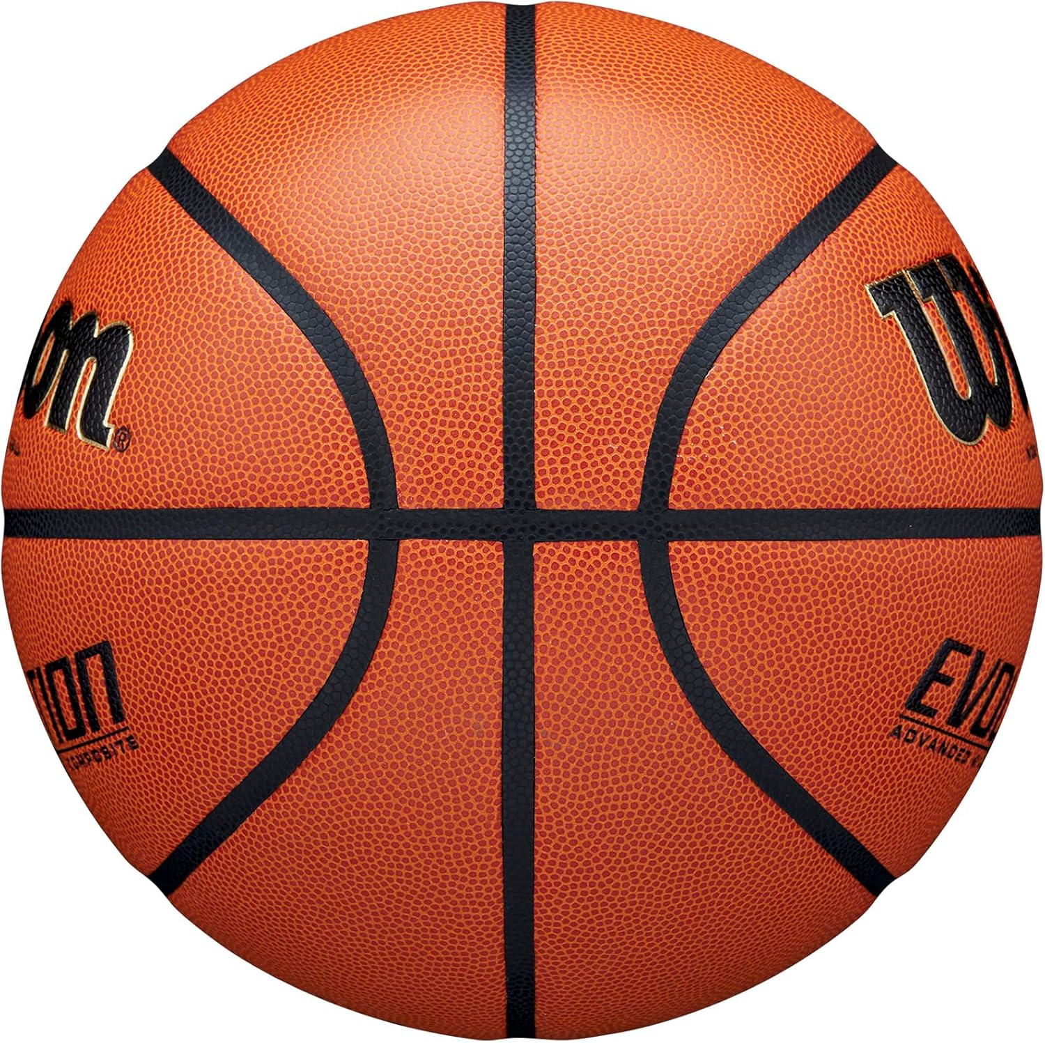 Wilson Evolution Basketball Best Indoor Basketball